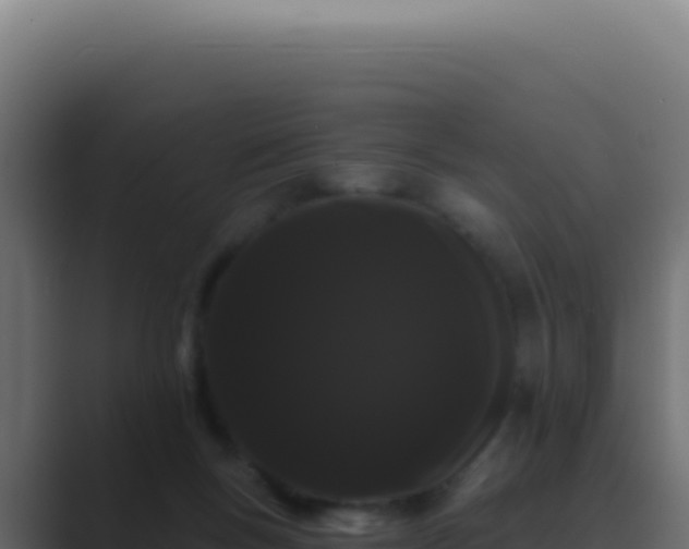 X0000089760167200706281650