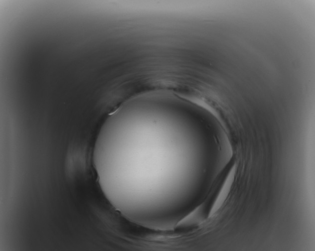 X0000089760168200706281650