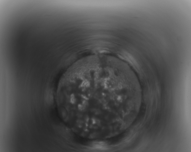 X0000089760169200706281650