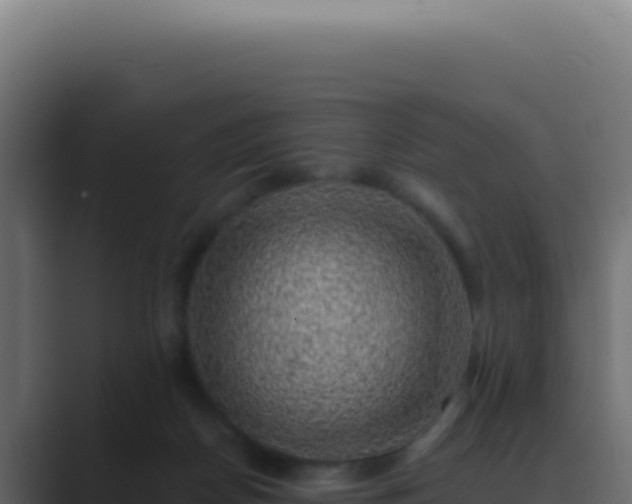 X0000089760170200706281650