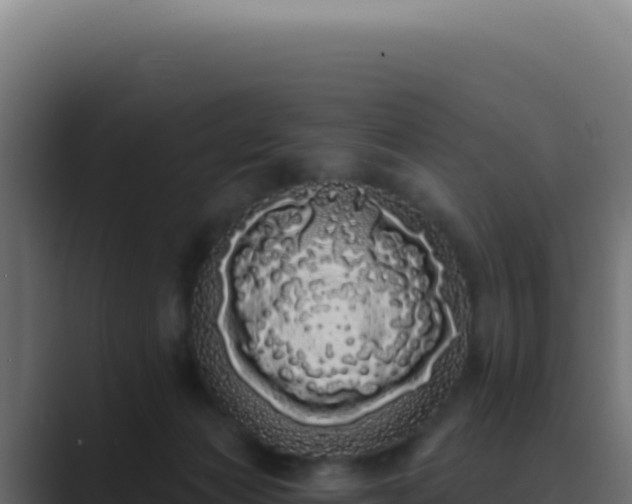 X0000089760173200706281650