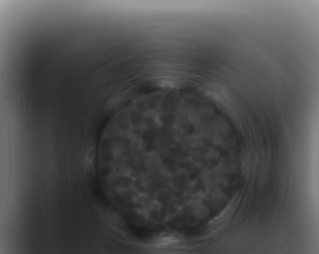 X0000089760175200706281650