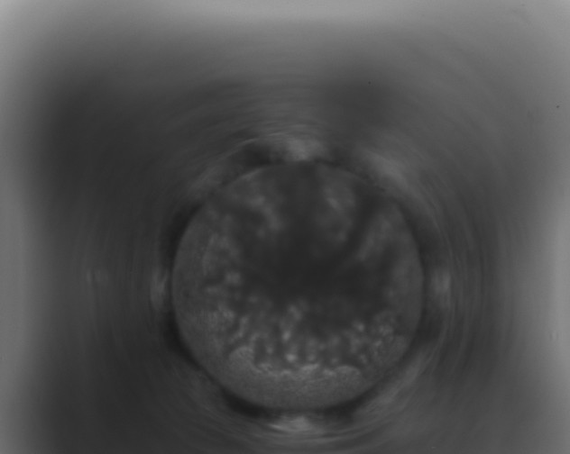 X0000089760177200706281650