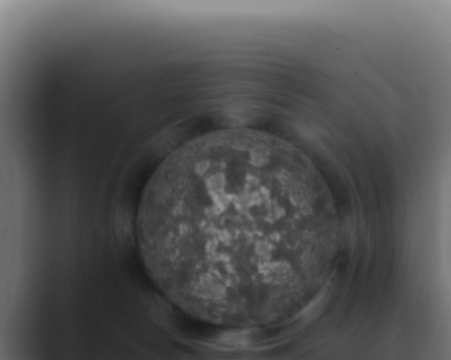 X0000089760178200706281650