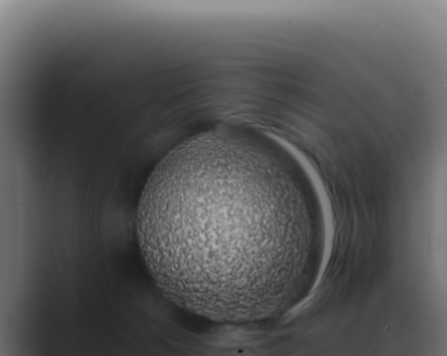 X0000089760180200706281650