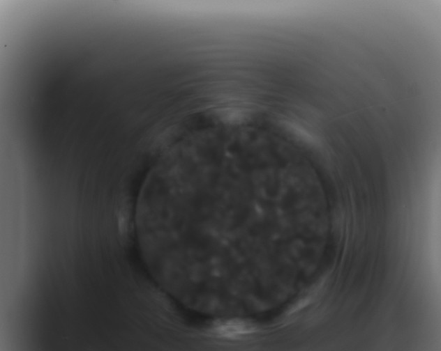 X0000089760181200706281650