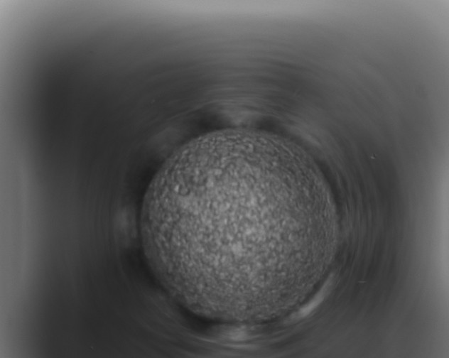 X0000089760182200706281650