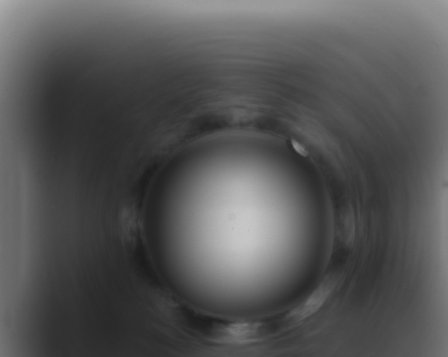 X0000089760184200706281650