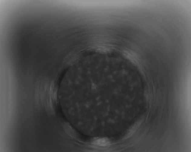 X0000089760185200706281650