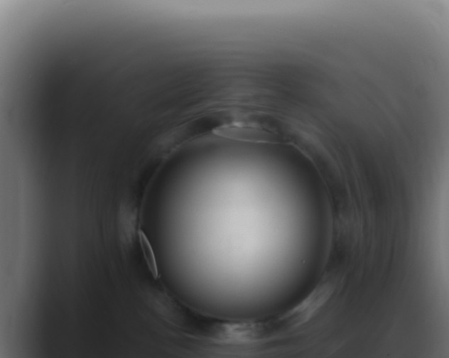 X0000089760188200706281650