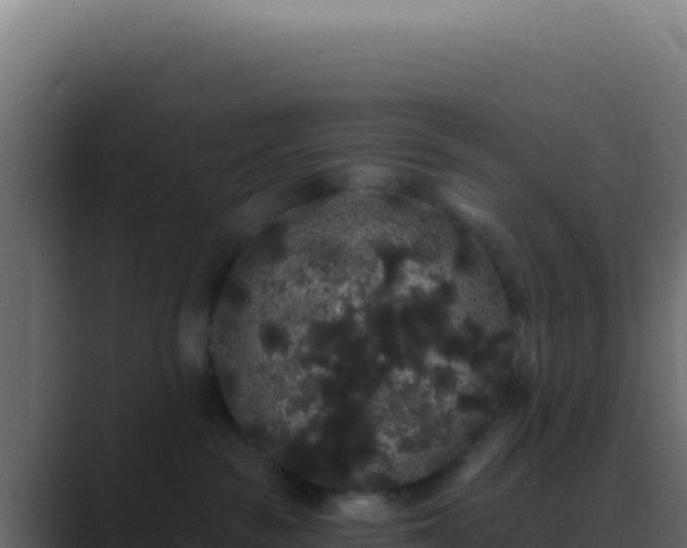 X0000089760189200706281650