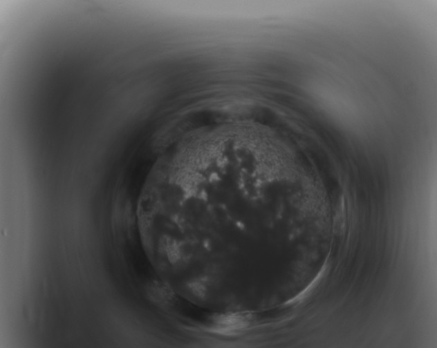 X0000089760191200706281650