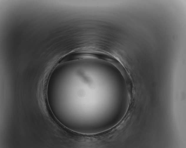 X0000089760193200706281650