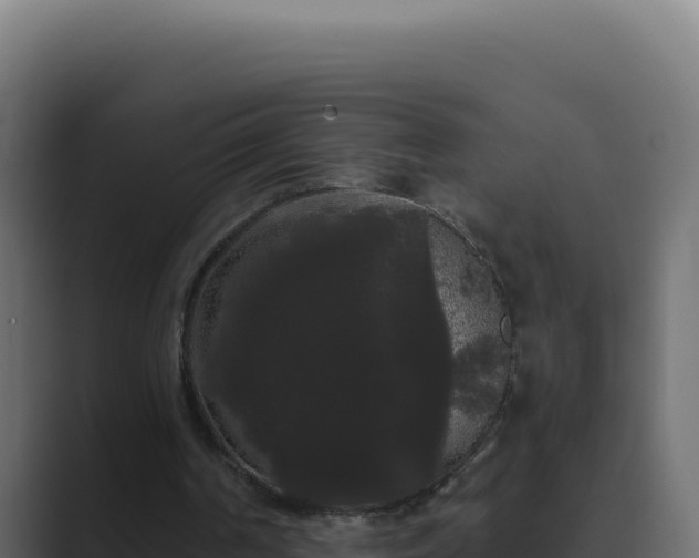 X0000089760194200706281650