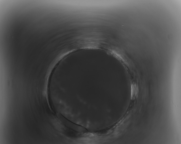 X0000089760195200706281650