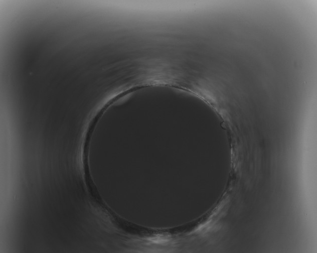 X0000089760196200706281650