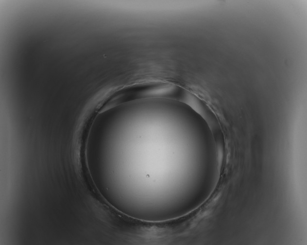 X0000089760197200706281650