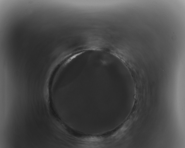 X0000089760198200706281650