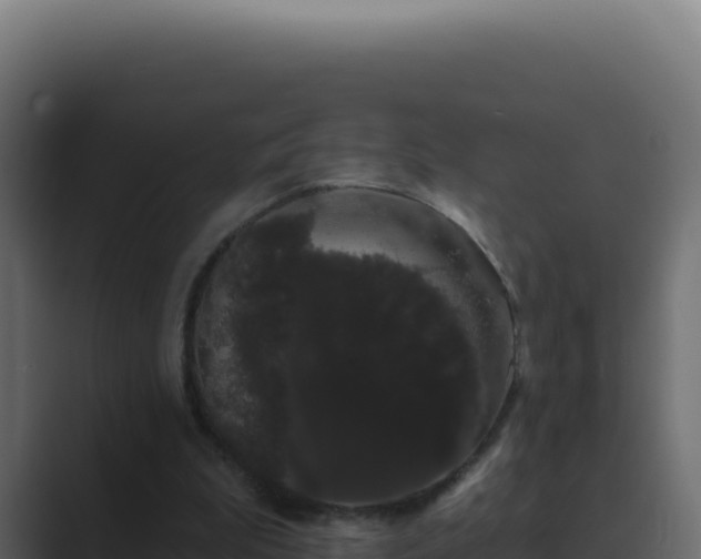 X0000089760199200706281650