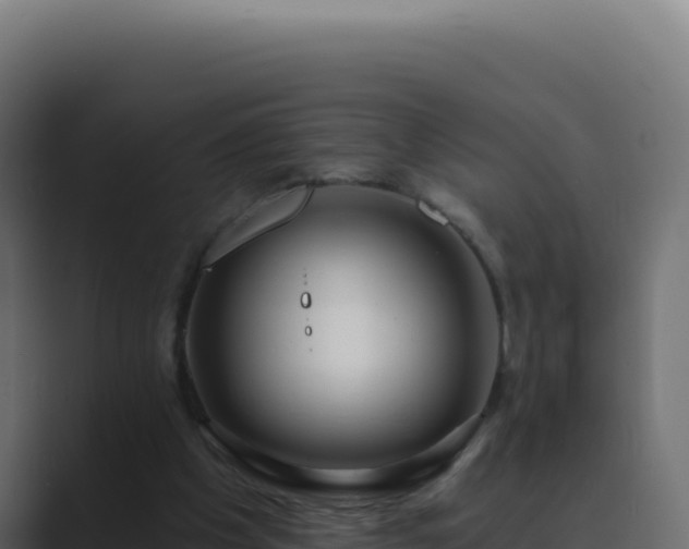 X0000089760201200706281650