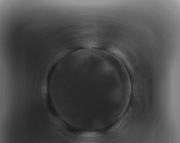 X0000089760202200706281650