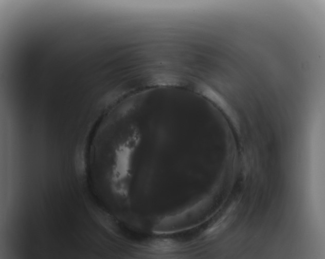 X0000089760203200706281650