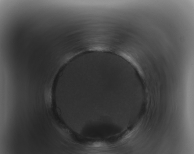 X0000089760204200706281650