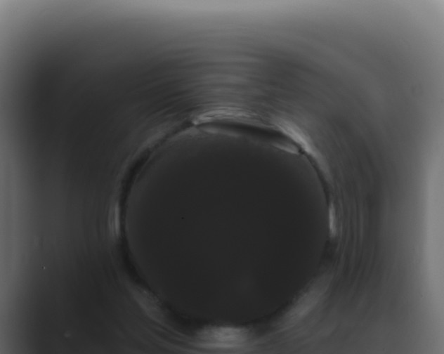 X0000089760205200706281650