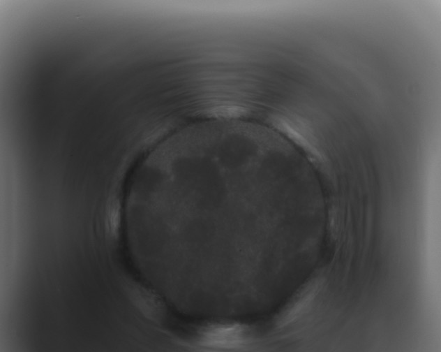 X0000089760206200706281650