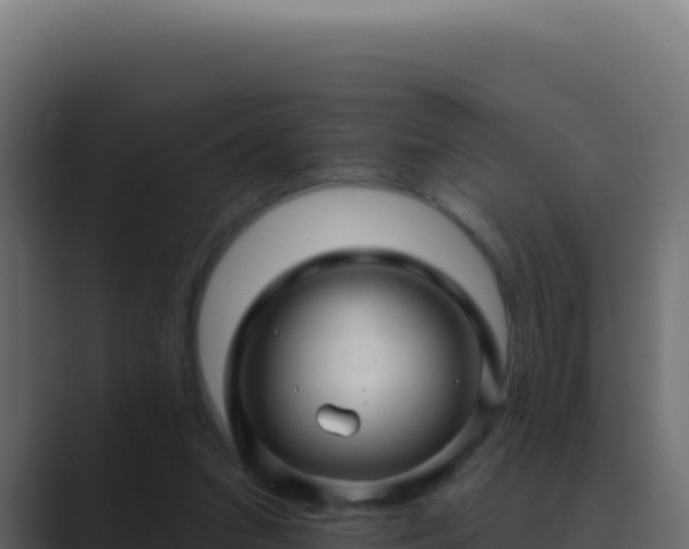 X0000089760207200706281650