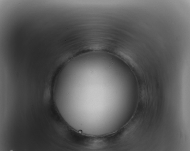 X0000089760208200706281650