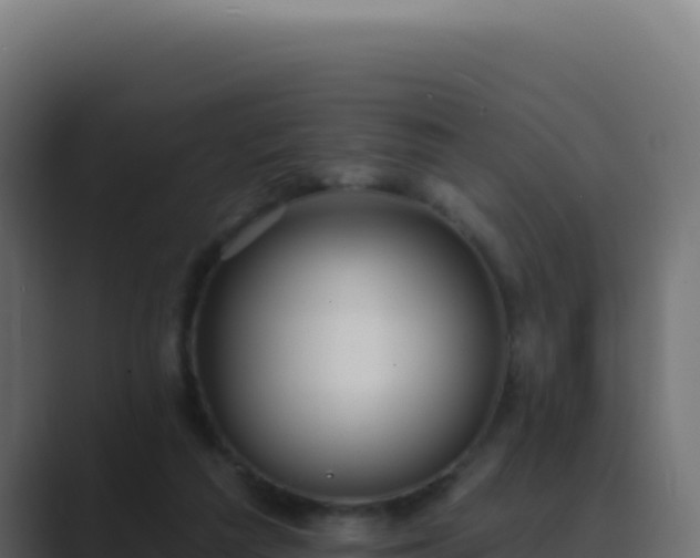 X0000089760209200706281650