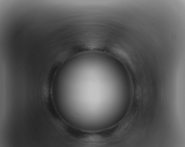 X0000089760210200706281650