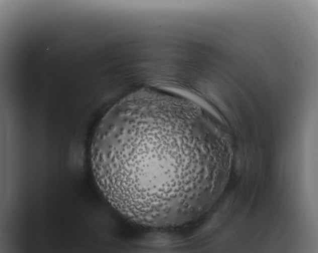 X0000089760211200706281650