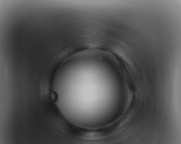 X0000089760212200706281650