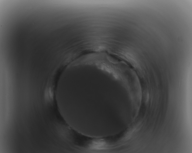 X0000089760214200706281650