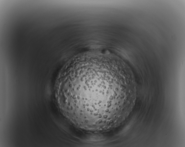 X0000089760215200706281650