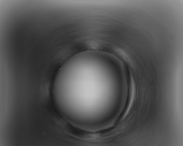 X0000089760217200706281649