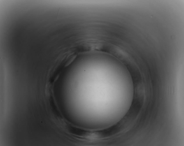 X0000089760218200706281649