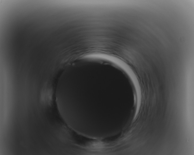 X0000089760219200706281649