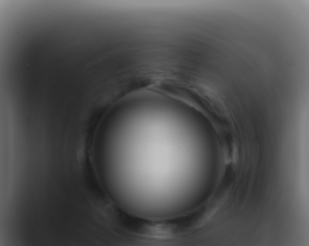 X0000089760221200706281649