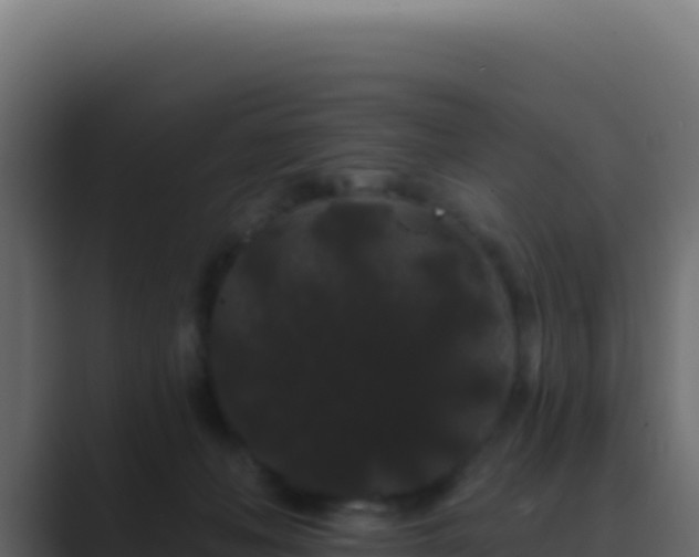 X0000089760222200706281649