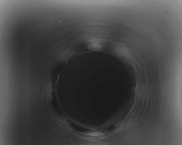 X0000089760223200706281649