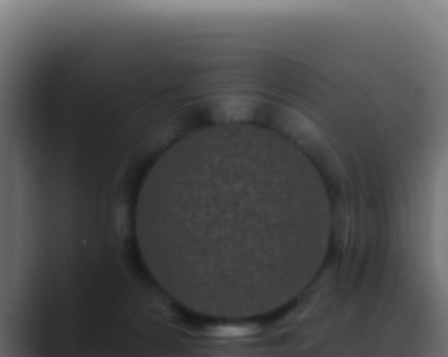 X0000089760224200706281649