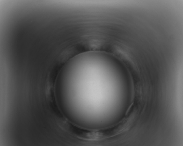 X0000089760225200706281649