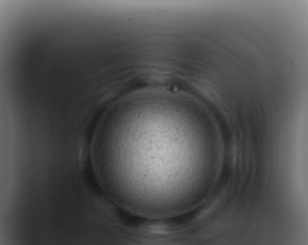 X0000089760228200706281649