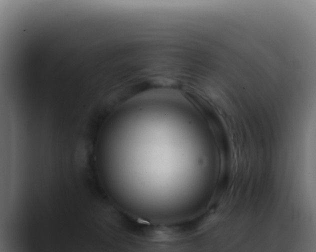 X0000089760229200706281649