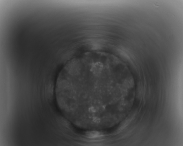 X0000089760230200706281649