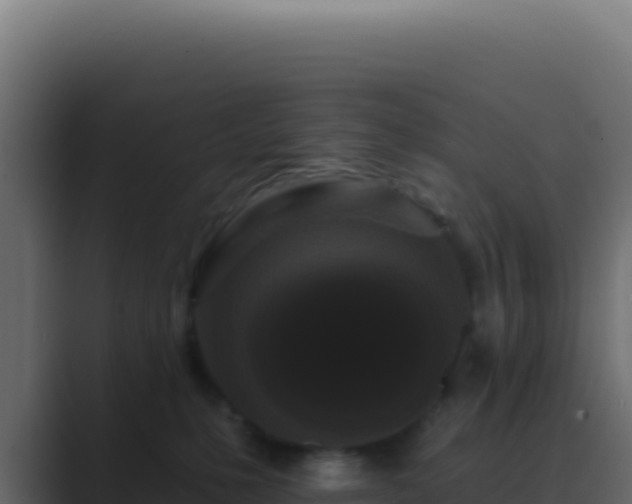 X0000089760231200706281649