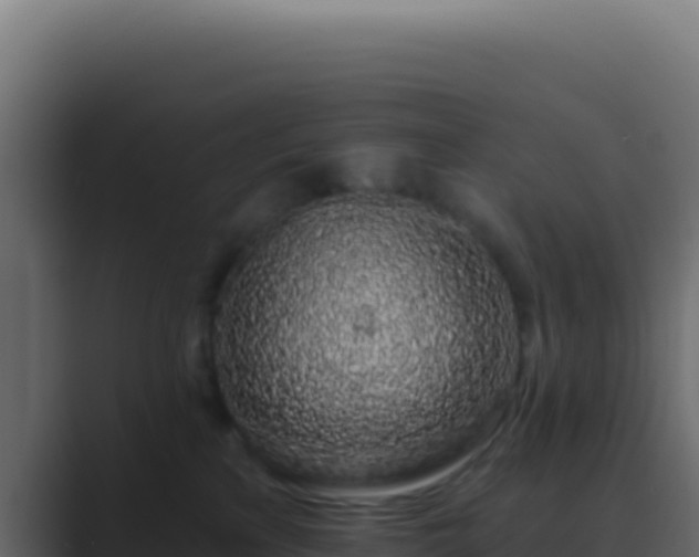 X0000089760233200706281649